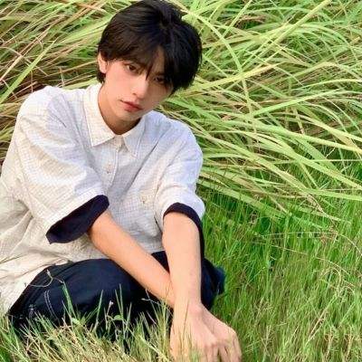 丛林乐园过山车